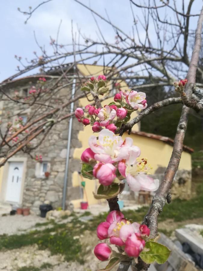 Skalameri Kozljak Экстерьер фото